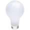 75-watt A19 incandescent bulb