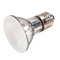 50-watt PAR20 flood halogen bulb with frosted lens