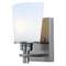 Single-Light Sconce 