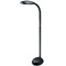 Full Spectrum Floor Lamp