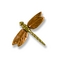 Dragonfly Doorbell Button
