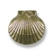 Michael Healy Designs Scallop Sea Shell Doorbell Button MHR62