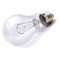 150-watt A21 incandescent bulb