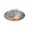 Butterfly Semi-Flush Ceiling Light