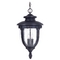Minka Lighting, Inc. Outdoor Hanging Light with Clear Glass in Heritage Finish 8954-94