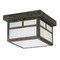 View product details Outdoor Flushmount Ceiling Light Fixture