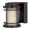Dolan Designs 6-1/4-Inch Outdoor Wall Light 9201-68
