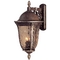 Oversize 29-1/2-Inch Outdoor Wall Light