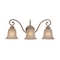 Three-Light Bathroom Fixture