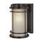 Dolan Designs 10-3/4-Inch Outdoor Wall Light 9205-68
