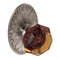 Amber Crystal Door Knob Passage Set