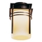 Outdoor Semi-Flush Ceiling Light Fixture