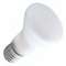 30-watt R20 incandescent bulb