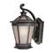 17-1/4-Inch Outdoor Wall Light