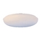 11-1/2-Inch Flushmount Ceiling Light Fixture
