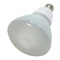 View product details 23-watt R40 Reflector compact fluorescent bulb