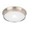 LED Low Profile Flushmount Ceiling Fixture