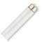 32-watt T8 fluorescent bulb
