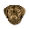 Golden Retriever Door Knocker