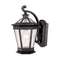 13-1/4-Inch Outdoor Wall Light