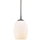 Energy Star Qualified Mini-Pendant