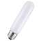 40-watt T10 incandescent bulb