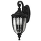 Murray Feiss Import Co. Outdoor Wall Light with Clear Glass in Black Finish OL3003BK