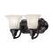 Two-Light Energy Star Qualified Bathroom Fixture