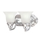 Two-Light Energy Star Qualified Bathroom Fixture