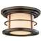 Flushmount Outdoor Ceiling Light Fixture