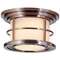 Flushmount Outdoor Ceiling Light Fixture