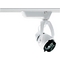 Conix Low Voltage Fixture Head for Juno Track in Silver
