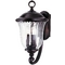 19-Inch Outdoor Wall Light