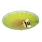 Philips Flushmount Light with Multi-Colored Glass in Multi Color Finish 301115548