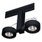 Duo Low Voltage Fixture Head for Juno Track 