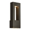 Two-Light 16-Inch Outdoor Wall Light