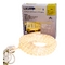 10-foot Premium Grade Rope Light Kit