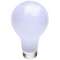 60-watt A19 incandescent bulb