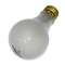 60-watt A19 halogen bulb