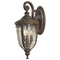 Murray Feiss Import Co. Outdoor Wall Light with Clear Glass in British Bronze Finish OL3001BRB