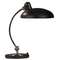 Adjustable Desk Lamp 