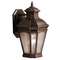 13-1/2-Inch Outdoor Wall Light