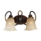 Two-Light Bathroom Fixture