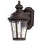 11-3/4-Inch Outdoor Wall Light