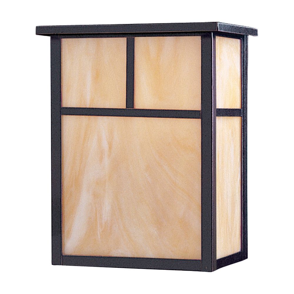 Outdoor Wall Light with Brown Glass in Burnished Finish 86051HOBU Destination Lighting