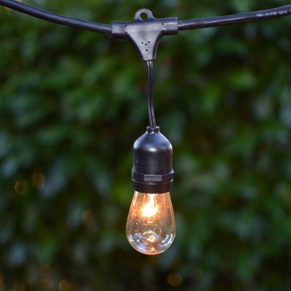 String Lights - 48-FT Long with 25 Light Bulbs Included 4825 Destination Lighting