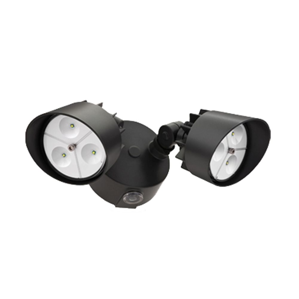 LED Security Light in Bronze Finish