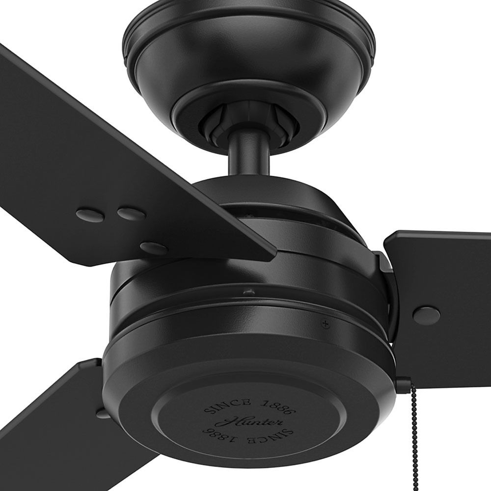 Hunter Black Ceiling Fan With Light Hunter Fas 44 Inch Contemporary