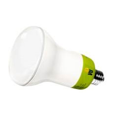 ESL Bulbs