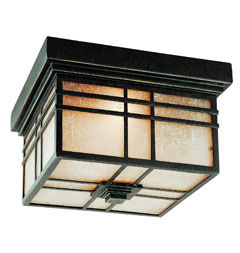 Outdoor Ceiling Lights